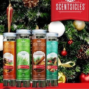 🎁🎄NWT Scented Scentsicles Holiday Christmas Ornaments 🏡🎄